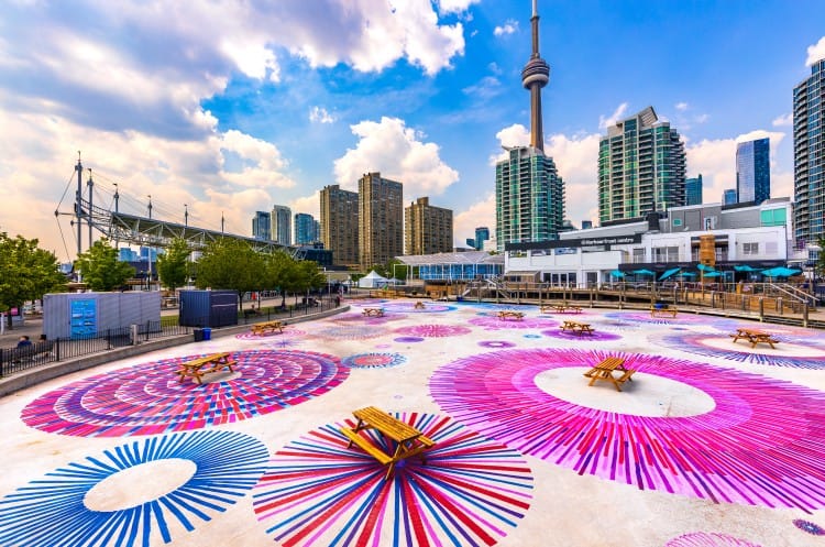 سئو و طراحی سایت در هاربرفرانت | قیمت، مراحل و خدمات تخصصی