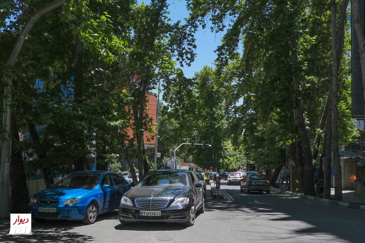 سئو سایت دندان پزشکی در زعفرانیه